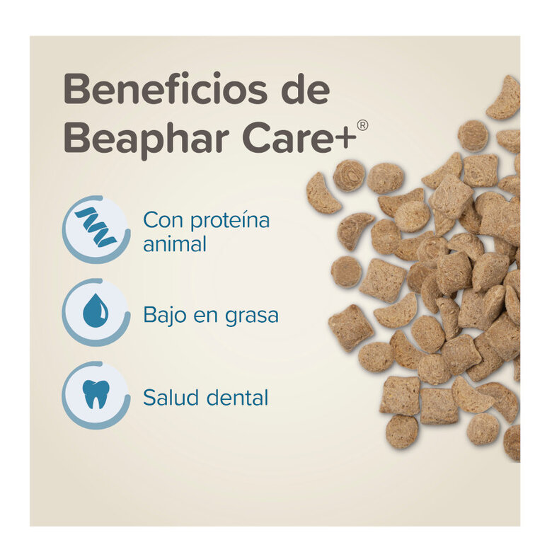 Beaphar Care+ comida de rato super premium,  Imagem número 3 Beaphar Care+ comida de rato super premium, , large Imagem número 3