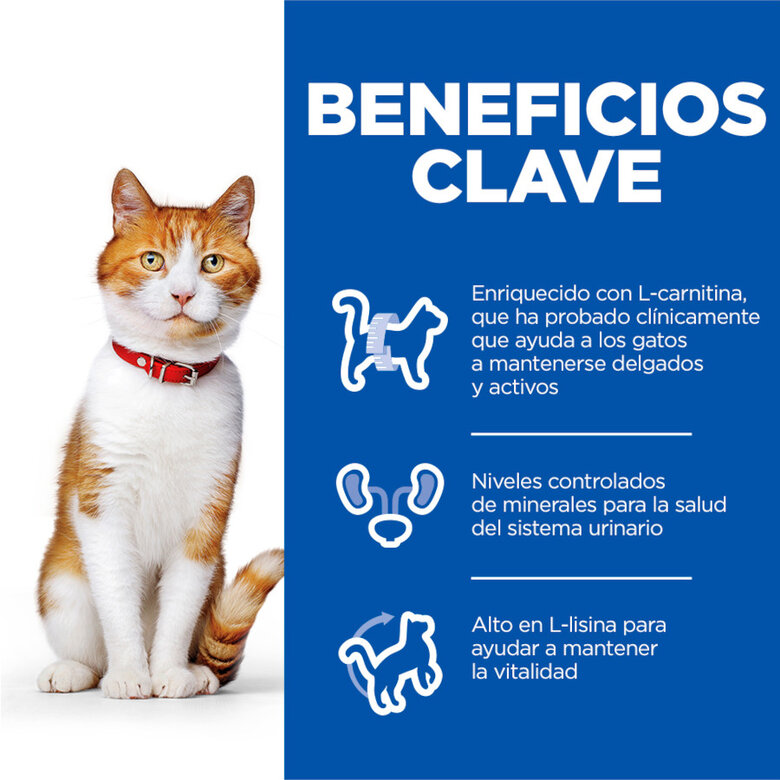 1.5 kg Hill's Science Plan Young Adult Sterilised Atum ração para gatos,  Imagem número 4 1.5 kg Hill's Science Plan Young Adult Sterilised Atum ração para gatos, , large Imagem número 4