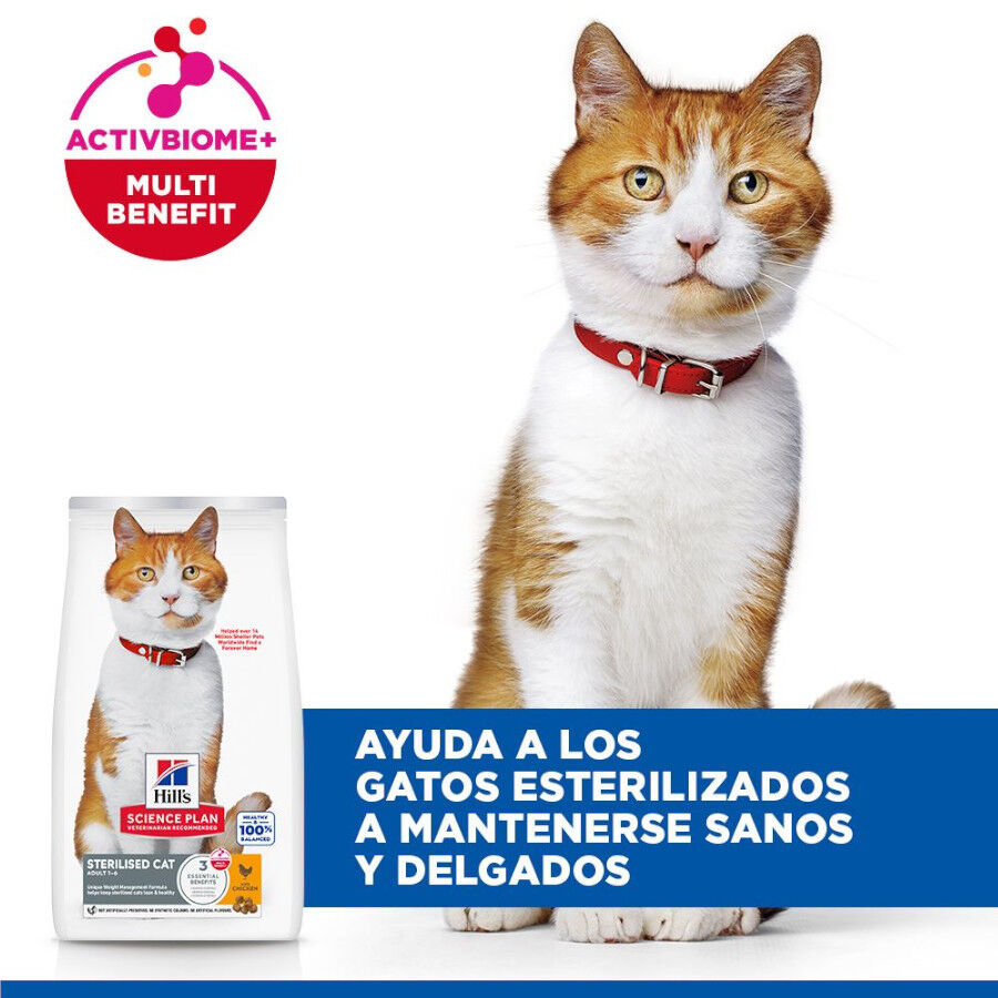 15 kg Hill's Science Plan Sterilised Adult Frango ra&ccedil;&atilde;o para gatos, , large Imagem n&uacute;mero 4