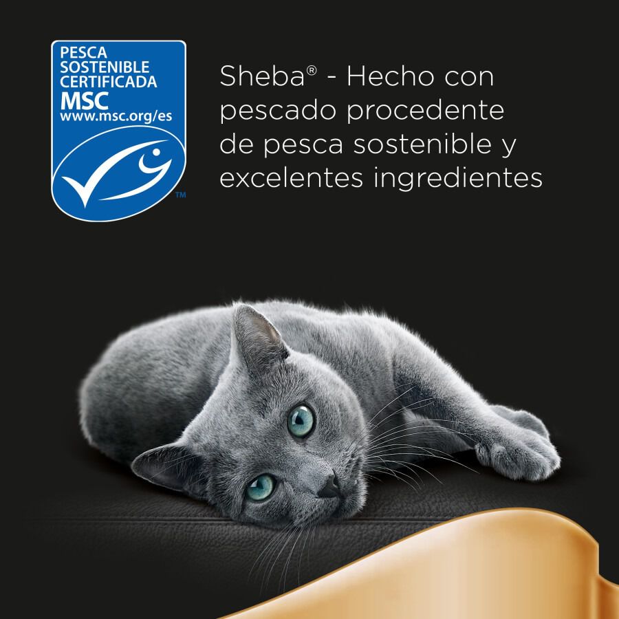 4 saquetas x 85 g Sheba Les Cr&eacute;ations Peixe Molho em Saqueta para Gatos - Multipack, , large Imagem n&uacute;mero 7
