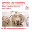 420 g Royal Canin Gastrointestinal Low Fat lata para cães, , large Indicador imagem número 8