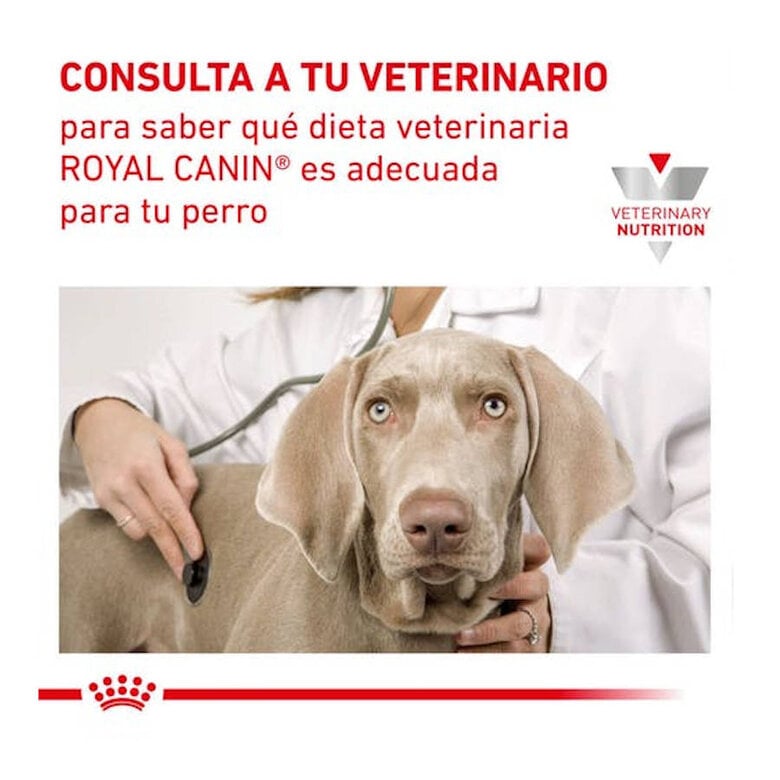 420 g Royal Canin Gastrointestinal Low Fat lata para cães,  Imagem número 8 420 g Royal Canin Gastrointestinal Low Fat lata para cães, , large Imagem número 8