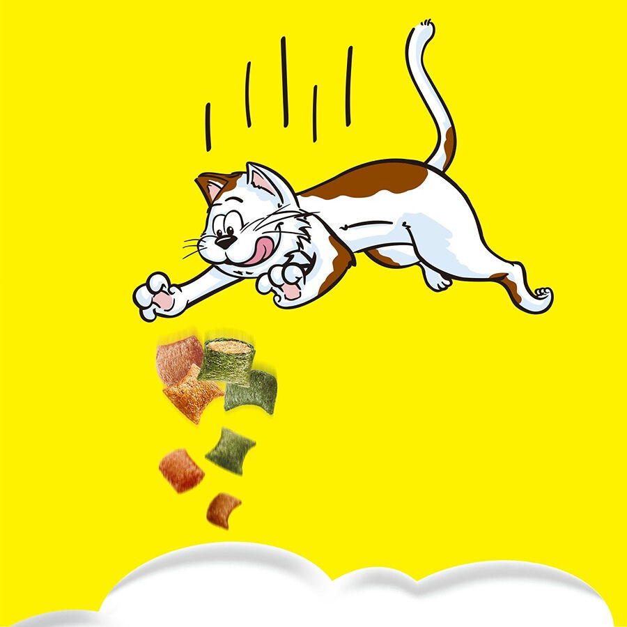 55 g Catisfactions Snacks Shake Ups Frango na Brasa para gatos , , large Imagem n&uacute;mero 2