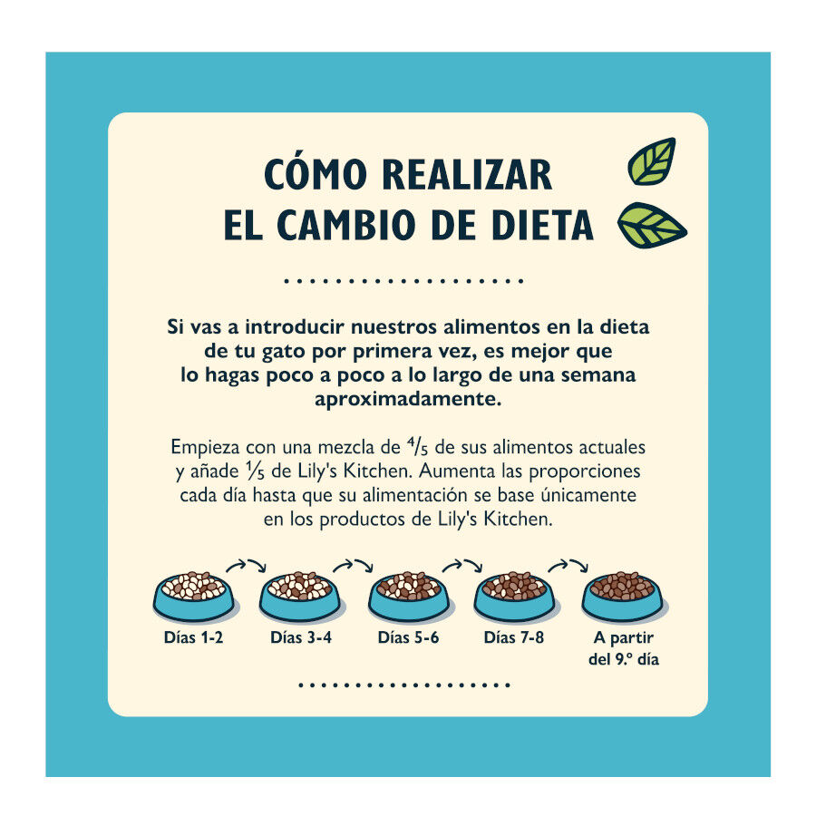 2 kg Lily's Kitchen Feline Adult peixe, , large Imagem n&uacute;mero 5