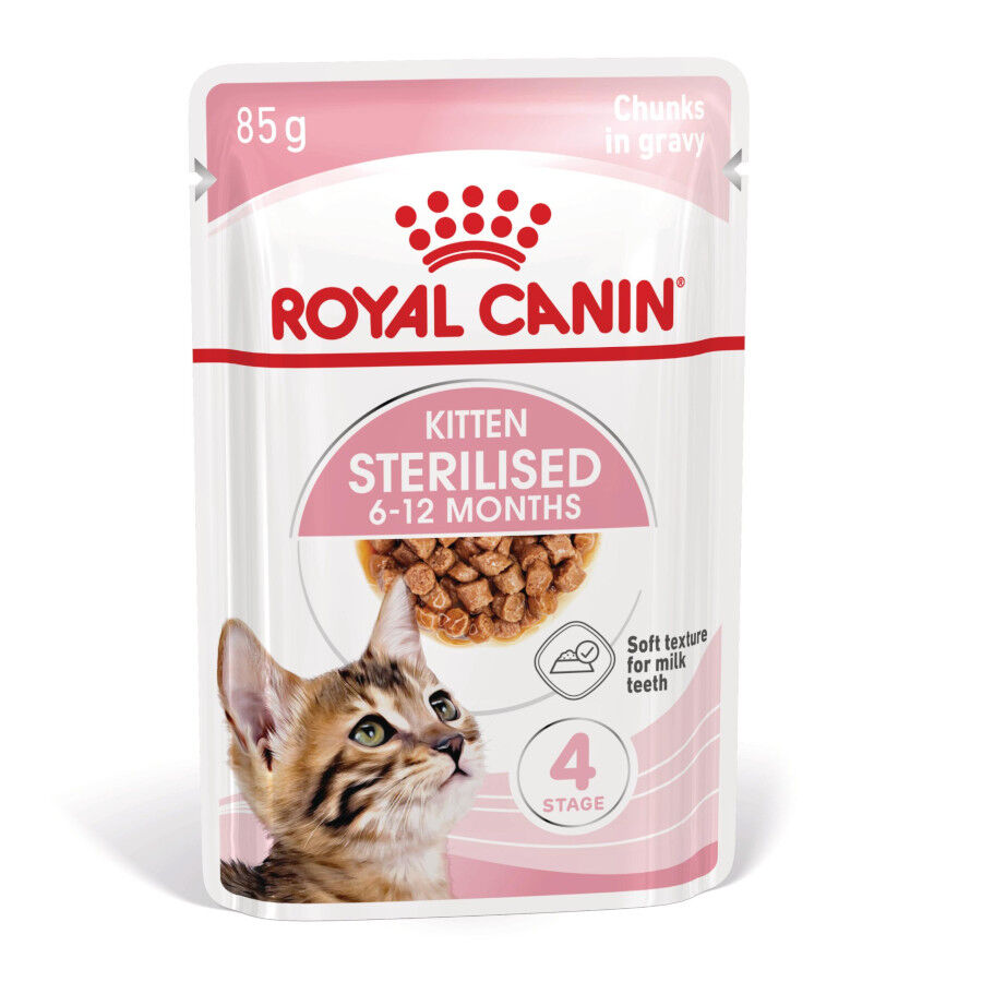 12 saquetas x 85 g Royal Canin Kitten Sterilised alimento h&uacute;mido em molho saquetas para gatos Pack poupan&ccedil;a!, , large Imagem n&uacute;mero 2
