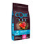 12 kg (10 + 2 kg grátis!) Wellness Core Adult Medium/Large Ocean Salmão e Atum ração para cães , , large Indicador imagem número 1
