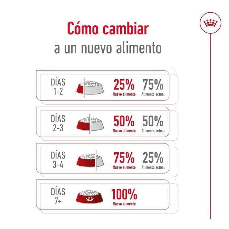 15 kg Royal Canin Maxi Adult ração para cães,  Imagem número 9 15 kg Royal Canin Maxi Adult ração para cães, , large Imagem número 9
