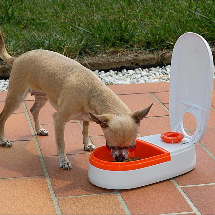 Ferplast Cometa Dispensador Autom&aacute;tico de Alimentos para c&atilde;es e gatos, , large Imagem n&uacute;mero 3