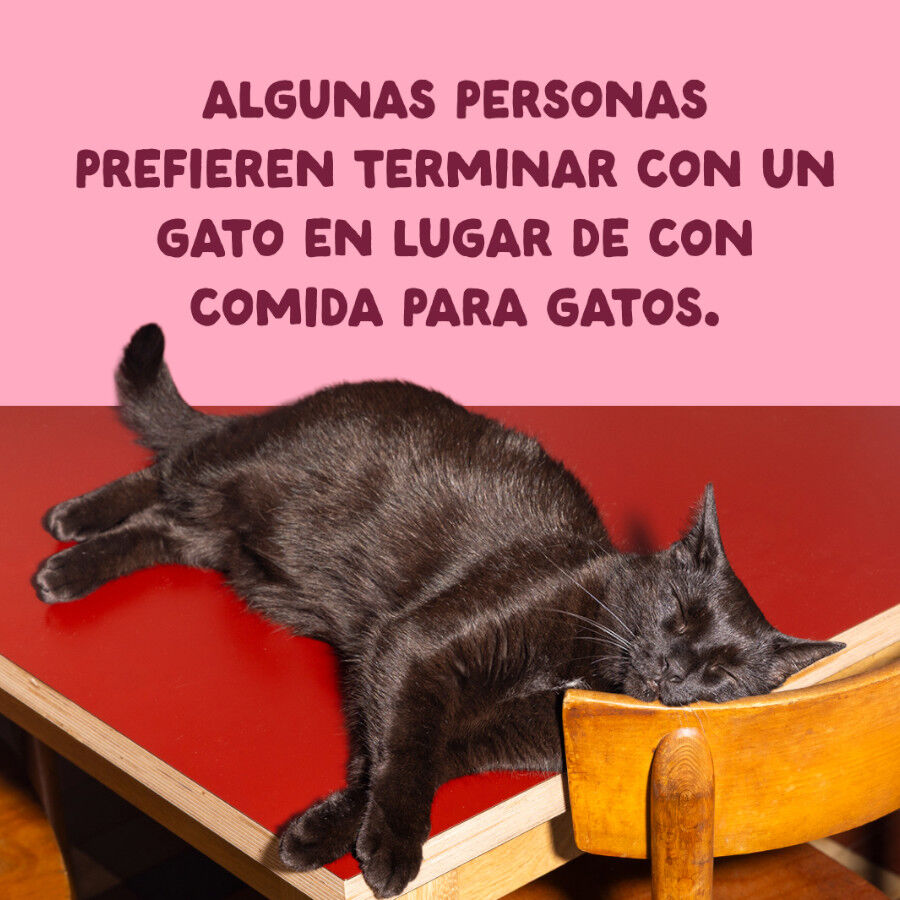 70 g Edgard & Cooper Filetes de Pollo y Gambas Lata para gatos, , large Imagem n&uacute;mero 9