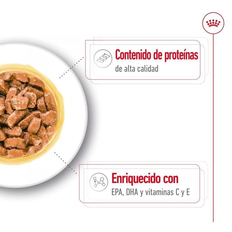 140 g Royal Canin Medium Ageing saquetas em molho para cães ,  Imagem número 4 140 g Royal Canin Medium Ageing saquetas em molho para cães , , large Imagem número 4