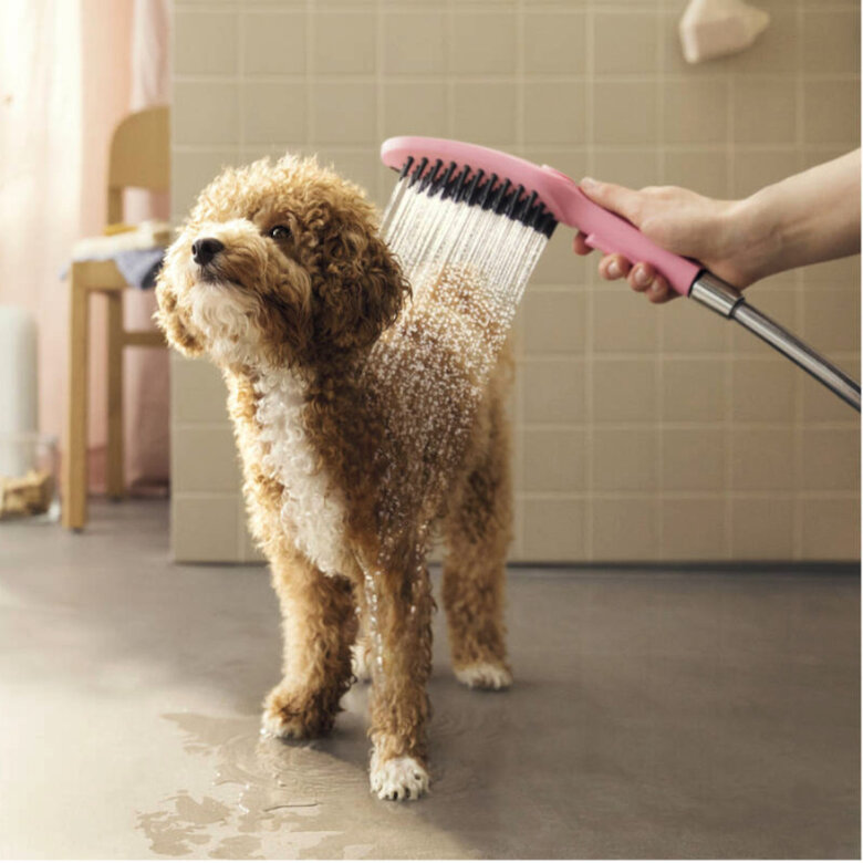 Hansgrohe Chuveiro Cor-de-rosa para cães,  Imagem número 2 Hansgrohe Chuveiro Cor-de-rosa para cães, , large Imagem número 2