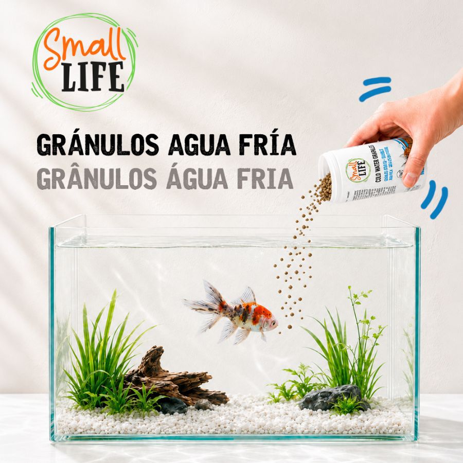 250 ml Small Life Gr&aacute;nulos Agua Fria Alimento para peces, , large Imagem n&uacute;mero 4