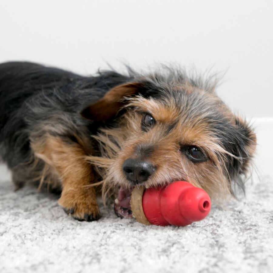 S Kong snacks Marathon 2-PK de Manteiga de Amendoim para c&atilde;es, , large Imagem n&uacute;mero 2