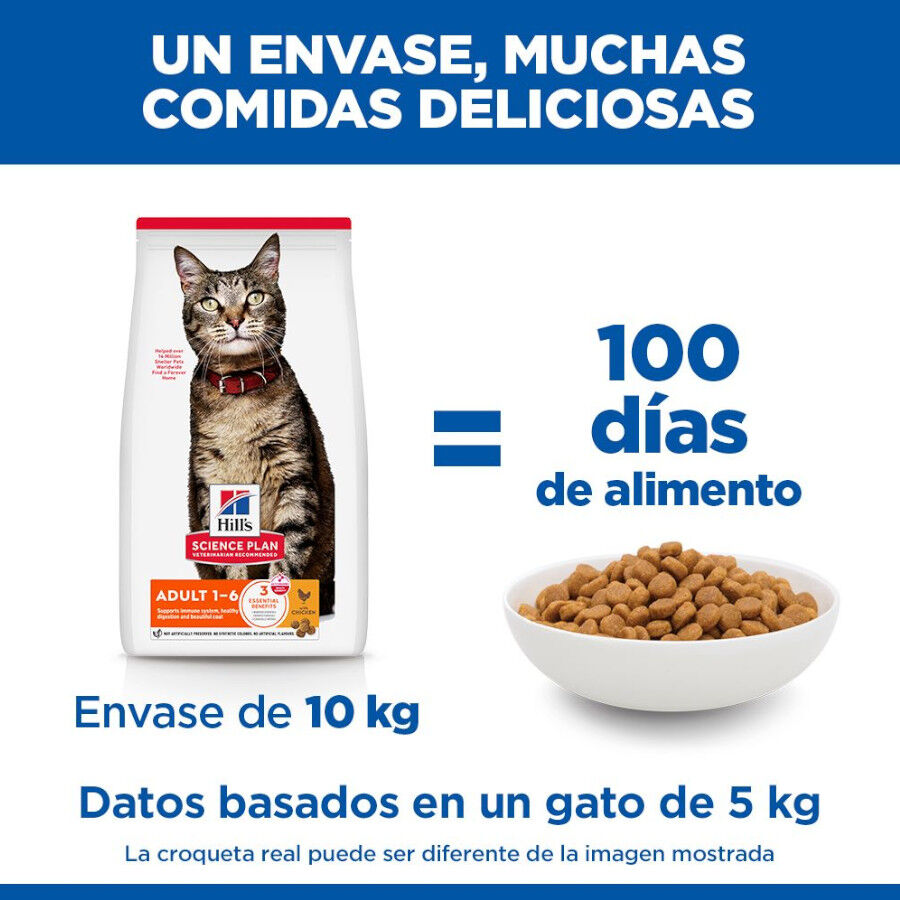 10 kg Hill's Adult Science Plan Frango ra&ccedil;&atilde;o para gatos, , large Imagem n&uacute;mero 5