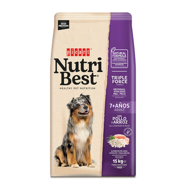 Nutribest Adult 7+ Frango y Arroz ração para cães