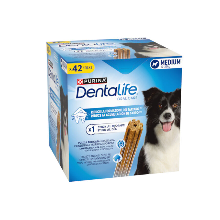 42 sticks Purina Dentalife Medium Multipack para c&atilde;es ra&ccedil;a m&eacute;dia, , large Imagem n&uacute;mero 1