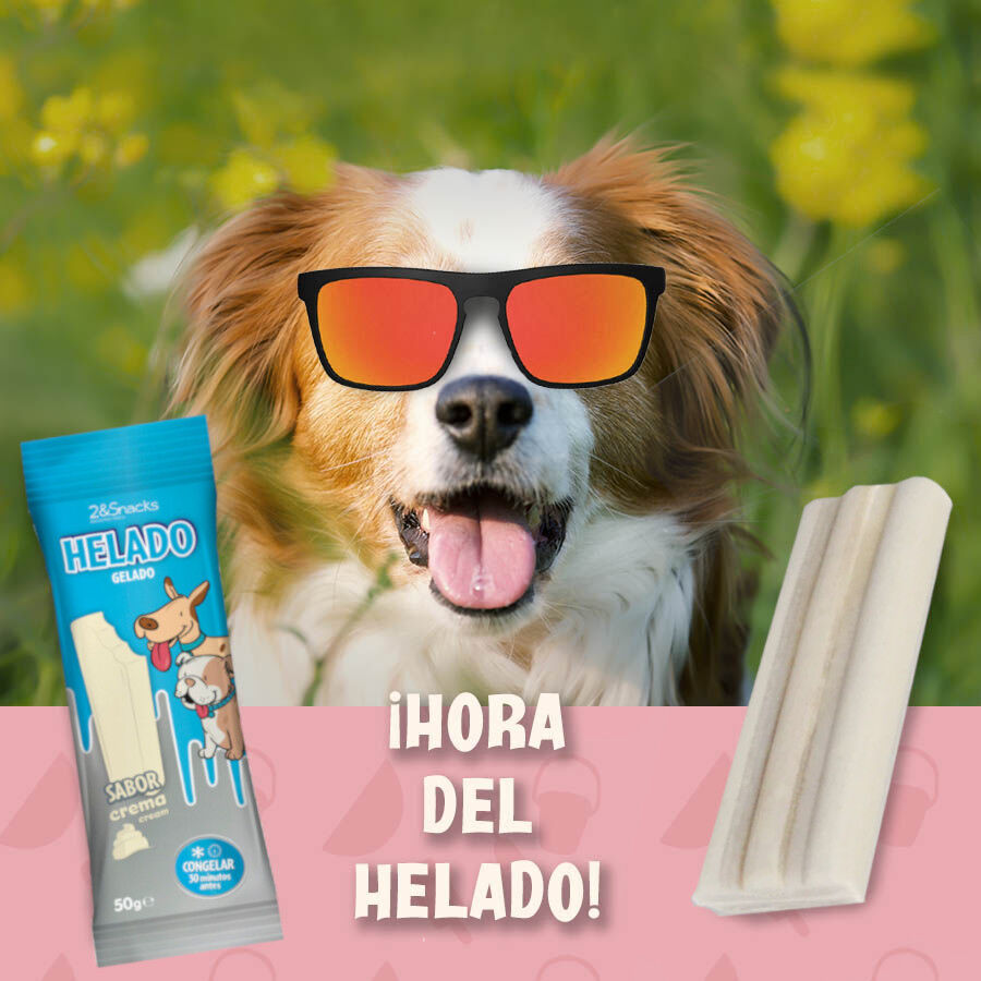1 ud. 2eSnacks Gelado de creme para c&atilde;es, , large Imagem n&uacute;mero 2