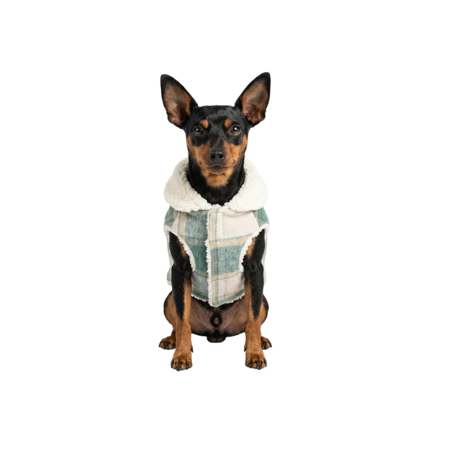 Gotoo Casaco Tartan com Capuz para c&atilde;es, , large Imagem n&uacute;mero 7