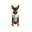 Gotoo Casaco Tartan com Capuz para c&atilde;es, , large Indicador imagem n&uacute;mero 7