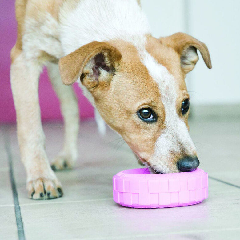 Kong Tires mastigador de goma para cachorros,  Imagem número 2 Kong Tires mastigador de goma para cachorros, , large Imagem número 2