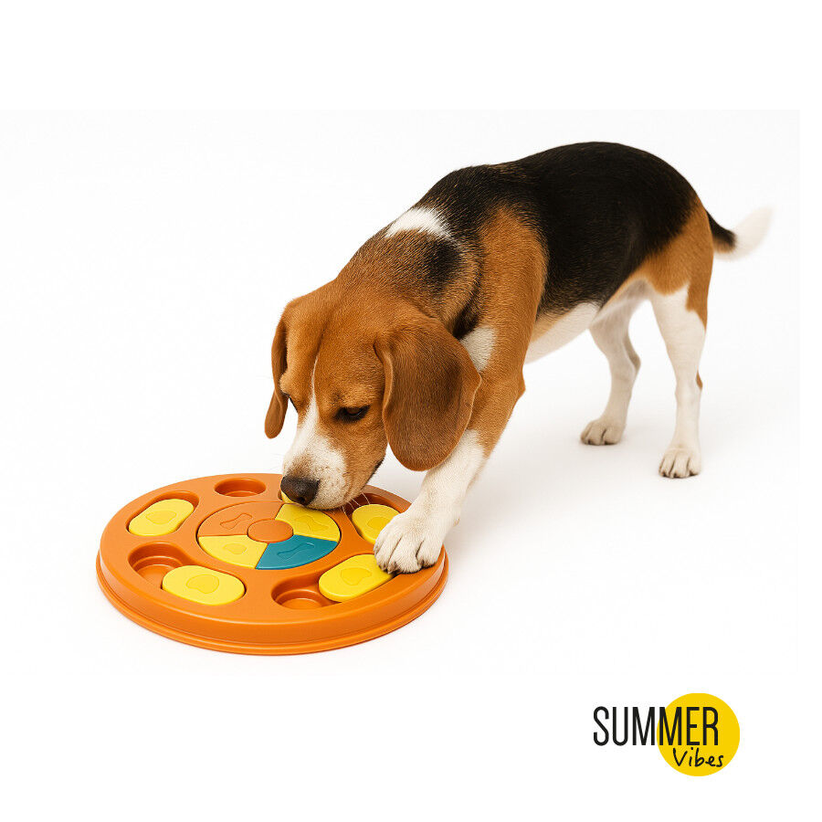 Brinquedo interativo Summer Vibes Orange para c&atilde;es, , large Imagem n&uacute;mero 2