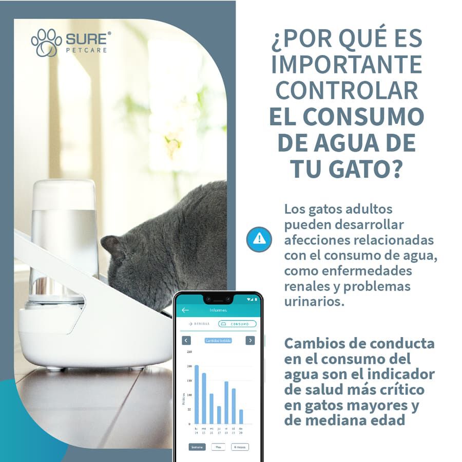 Sure Petcare Felaqua Connect Bebedero Autom&aacute;tico para gatos Imagem n&uacute;mero 7
