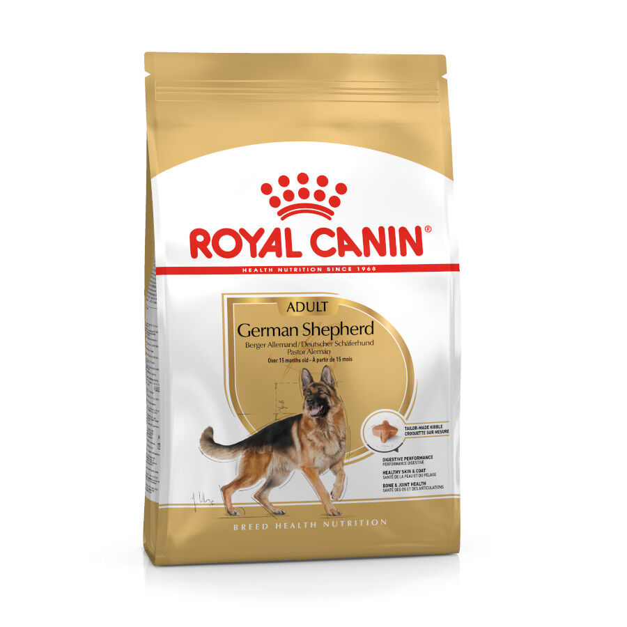 15 kg Royal Canin Digestive Ra&ccedil;&atilde;o para c&atilde;es pastor alem&atilde;o, , large Imagem n&uacute;mero 1