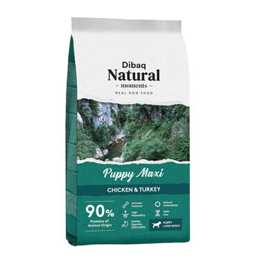 Dibaq Natural Moments Puppy Maxi ração para cães
