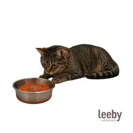Leeby Comedouro Lento em A&ccedil;o Inoxid&aacute;vel para gatos