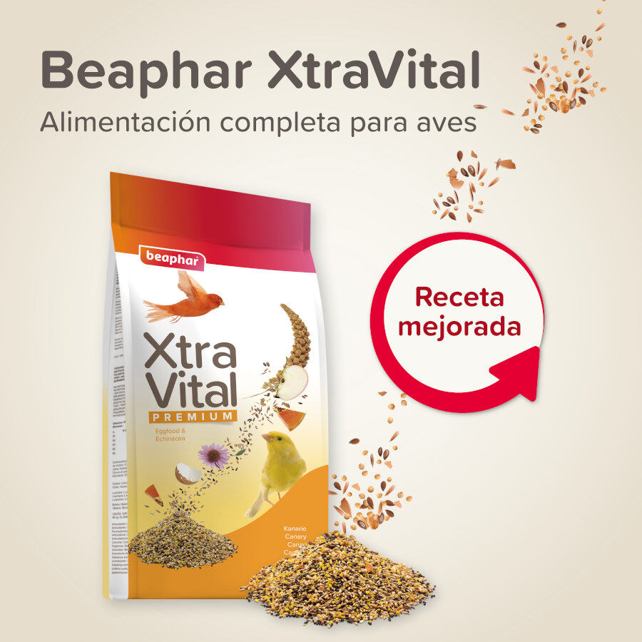 Comida para p&aacute;ssaros Beaphar XtraVital Premium Can&aacute;rios, , large Imagem n&uacute;mero 2
