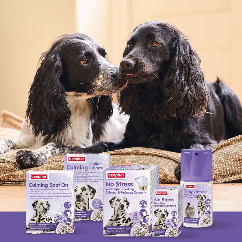 Beaphar Calming Collar Relajante para perros5 Imagem n&uacute;mero 5