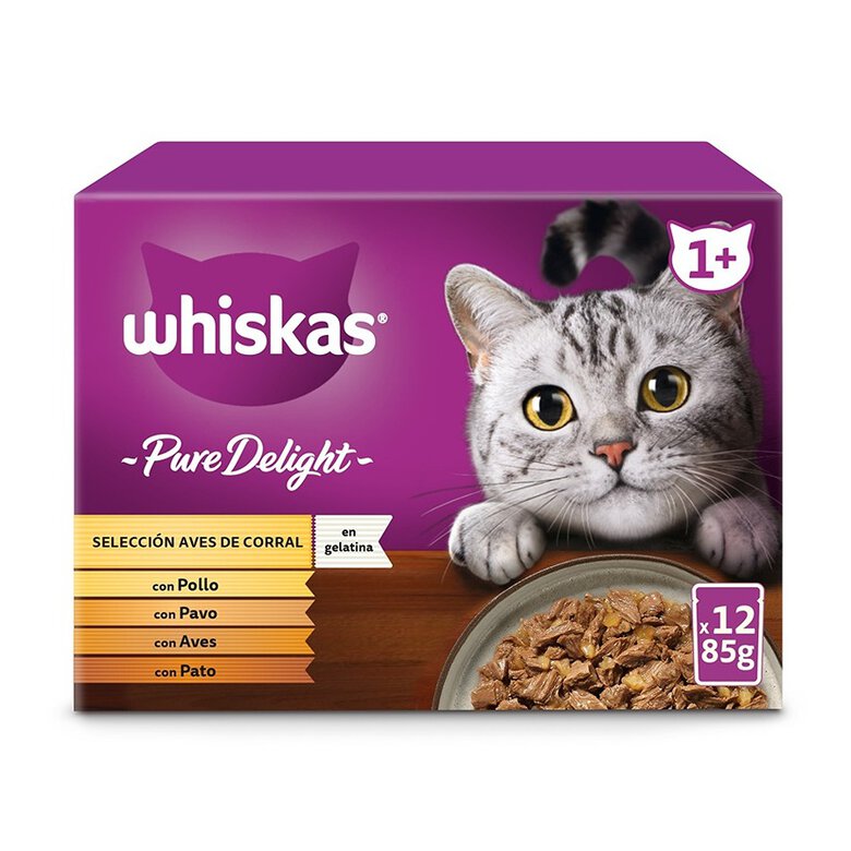 4 saquetas x 85 g Whiskas Casserole Aves Geleia em Saqueta para Gatos,  Imagem número 2 4 saquetas x 85 g Whiskas Casserole Aves Geleia em Saqueta para Gatos, , large Imagem número 2