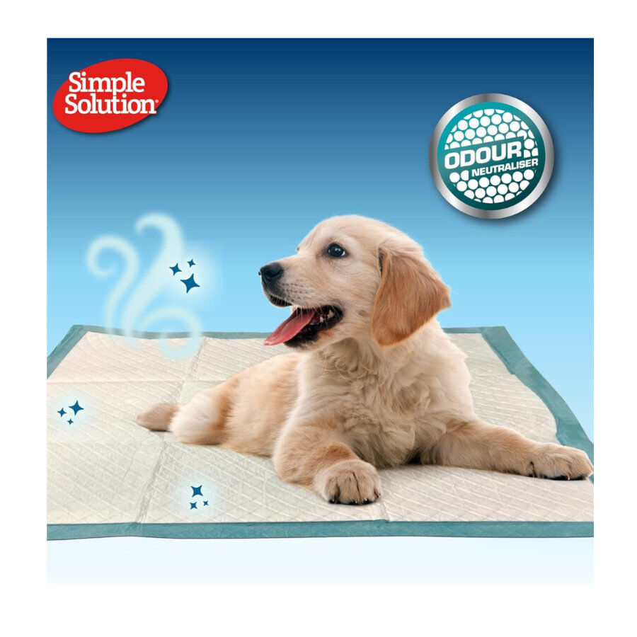 Simple Solution Resguardos para c&atilde;es, , large Imagem n&uacute;mero 2