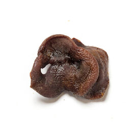 Nutriment Barrita Snack de focinho de porco para cães