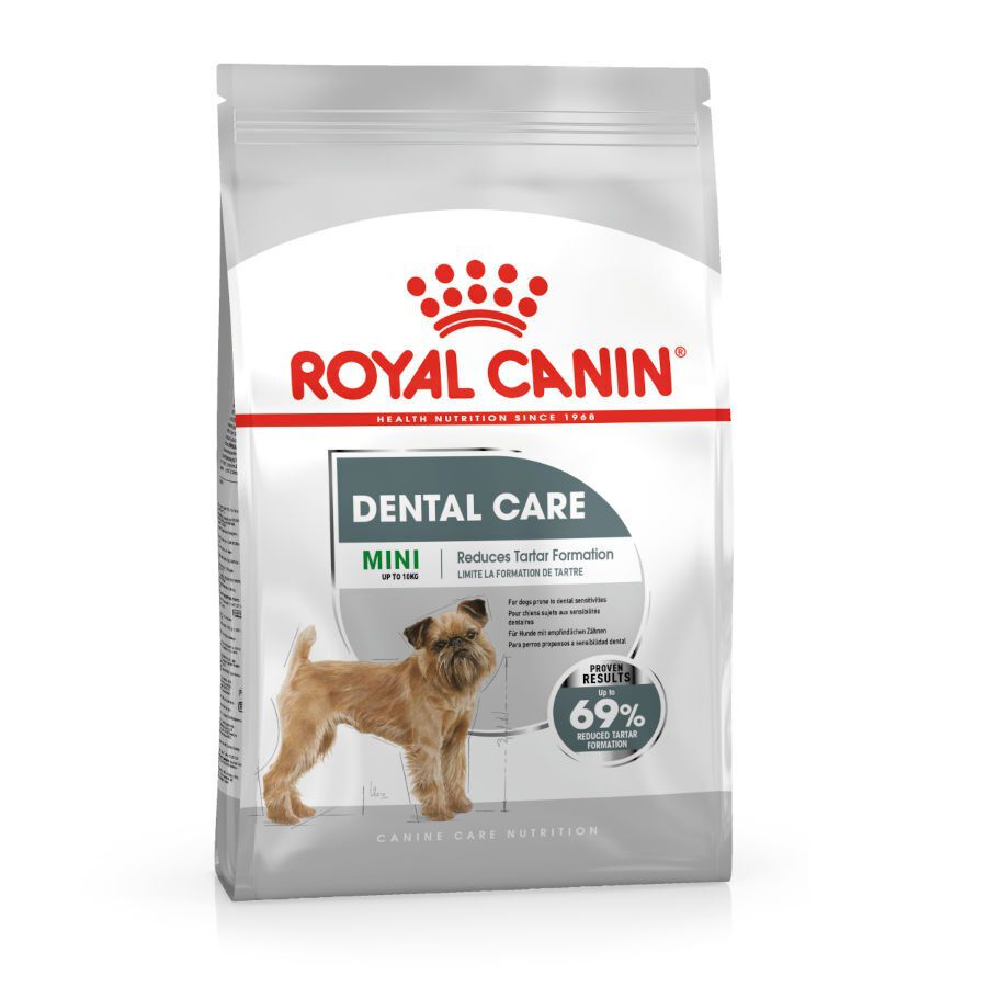 3 kg Royal Canin Mini Dental Care ra&ccedil;&atilde;o para c&atilde;es, , large Imagem n&uacute;mero 1