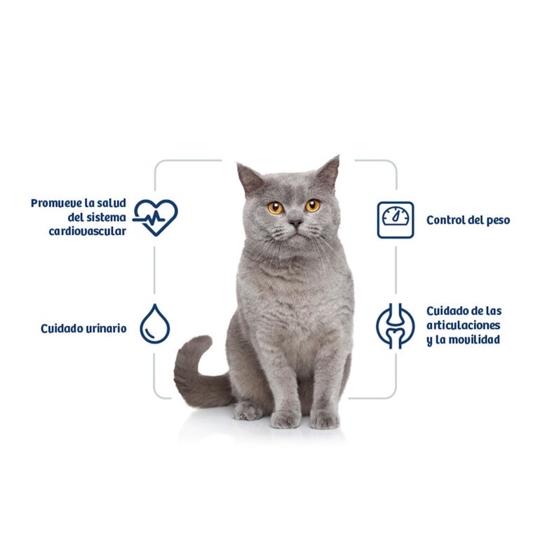 10 kg Nath Adult Sterilised Frango e Arroz ração para gatos,  Imagem número 2 10 kg Nath Adult Sterilised Frango e Arroz ração para gatos, , large Imagem número 2