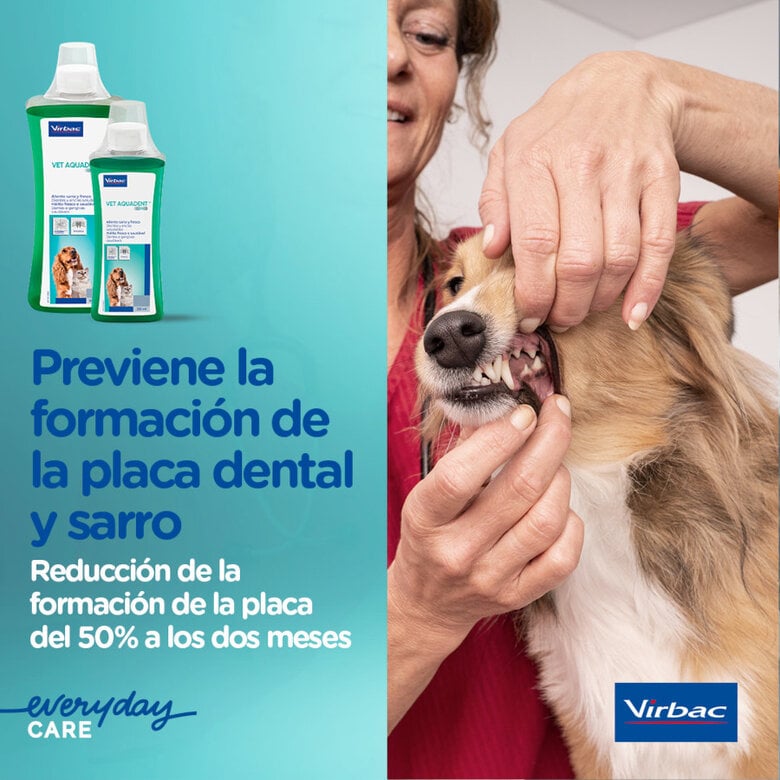 Virbac Vet Aquadent Elixir Bucal para cães e gatos,  Imagem número 6 Virbac Vet Aquadent Elixir Bucal para cães e gatos, , large Imagem número 6
