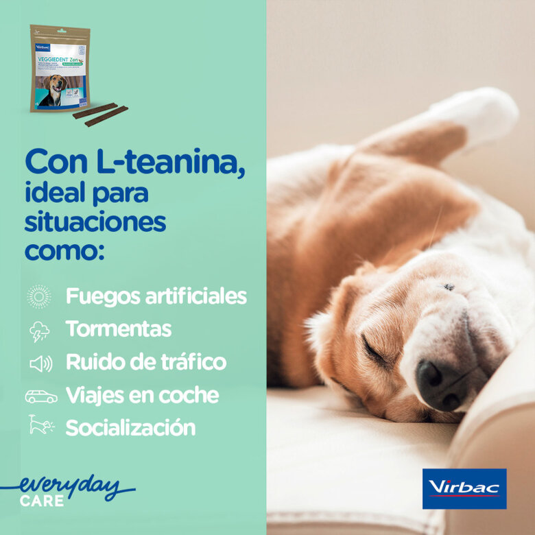 15 sticks Virbac Láminas Veggiedent Zen XS para cães,  Imagem número 6 15 sticks Virbac Láminas Veggiedent Zen XS para cães, , large Imagem número 6