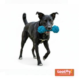 Tootoy! Pull Mordedor corda com par de bolas para c&atilde;es