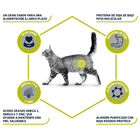 Advance Veterinary Diets Hypoallergenic ração para gatos, , large image number null