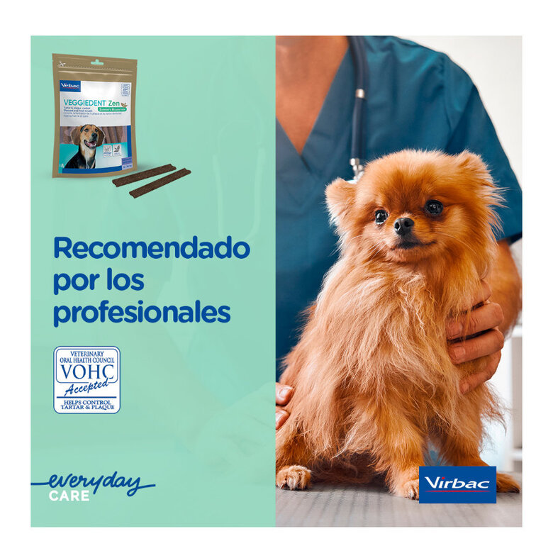 15 sticks Virbac Láminas Veggiedent Zen S para cães,  Imagem número 10 15 sticks Virbac Láminas Veggiedent Zen S para cães, , large Imagem número 10