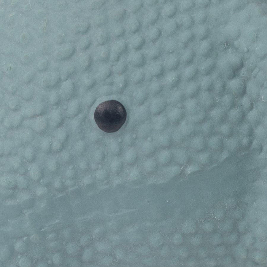 Tootoy! Puppy Mini Elephant Toy mordedor para cachorros, , large Imagem n&uacute;mero 3