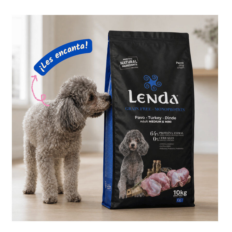 10 kg Lenda Grain Free Ra&ccedil;&atilde;o de Peru para c&atilde;es, , large Imagem n&uacute;mero 5