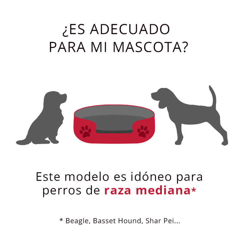 Dogzzz Basic Snap Natura Cama Azul,  Imagem número 2 Dogzzz Basic Snap Natura Cama Azul, , large Imagem número 2