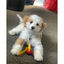 Nylabone Chaves Mordedor com sabor a bacon para cachorros, , large Indicador imagem número 2