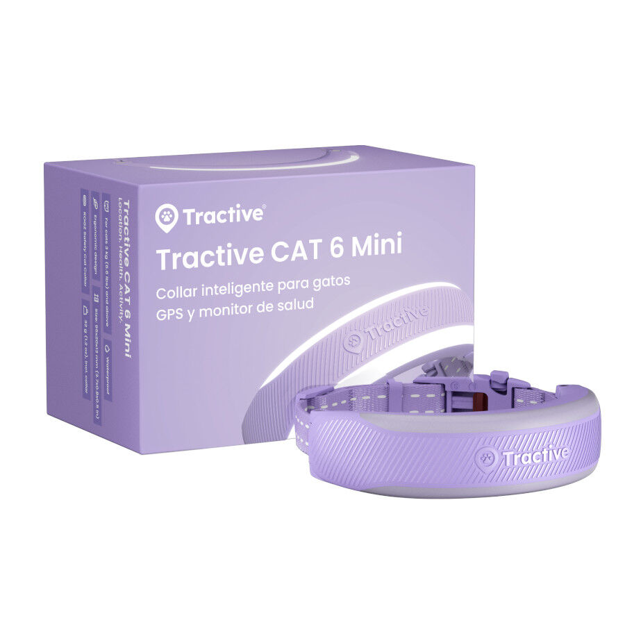 Tractive CAT 6 Mini Lavanda GPS para gatos, , large Imagem n&uacute;mero 1