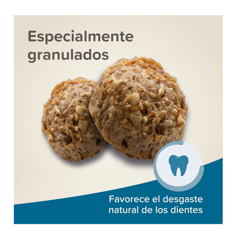 Beaphar Care+ ração para coelhos adultos super premium,  Imagem número 4 Beaphar Care+ ração para coelhos adultos super premium, , large Imagem número 4