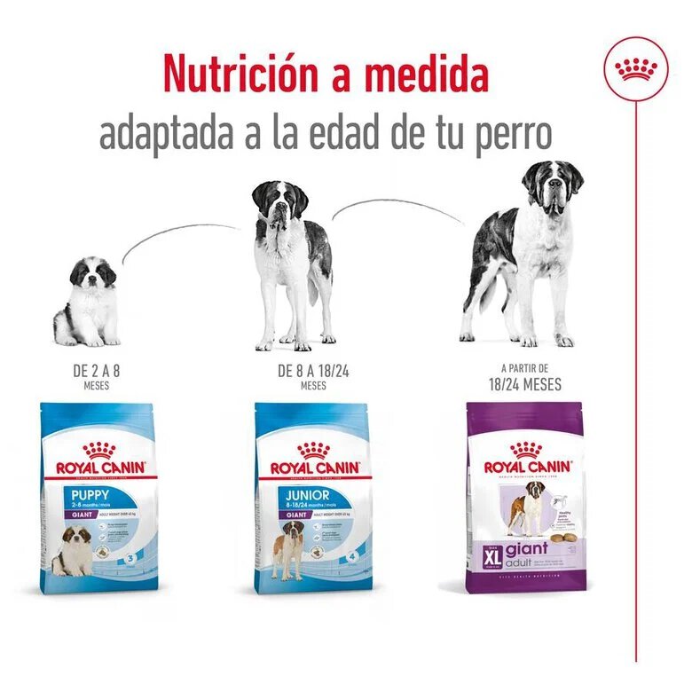 15 kg Royal Canin Adult Giant ração para cães,  Imagem número 8 15 kg Royal Canin Adult Giant ração para cães, , large Imagem número 8