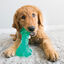 Kong Squeeze Dental Stick brinquedo para cães, , large Indicador imagem número 2