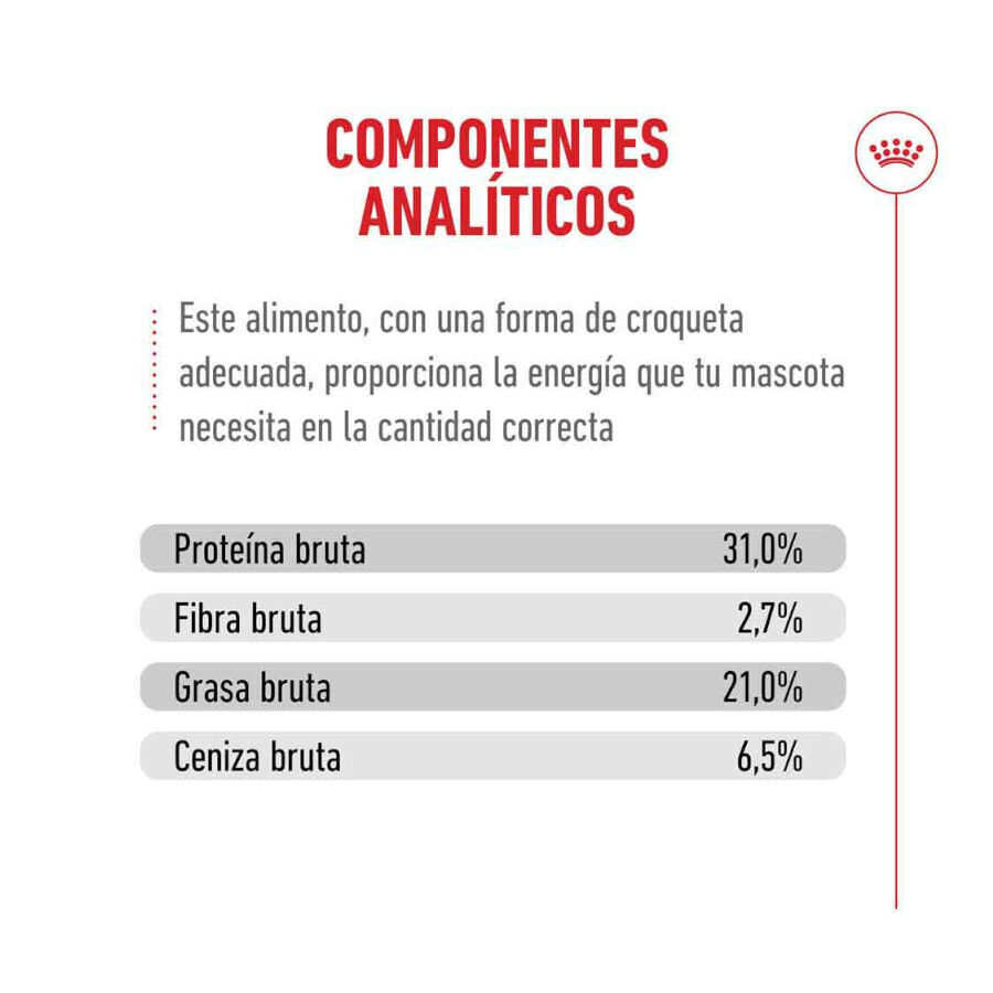 4 kg Royal Canin Ageing +15 Ra&ccedil;&atilde;o para gato s&eacute;nior, , large Imagem n&uacute;mero 9